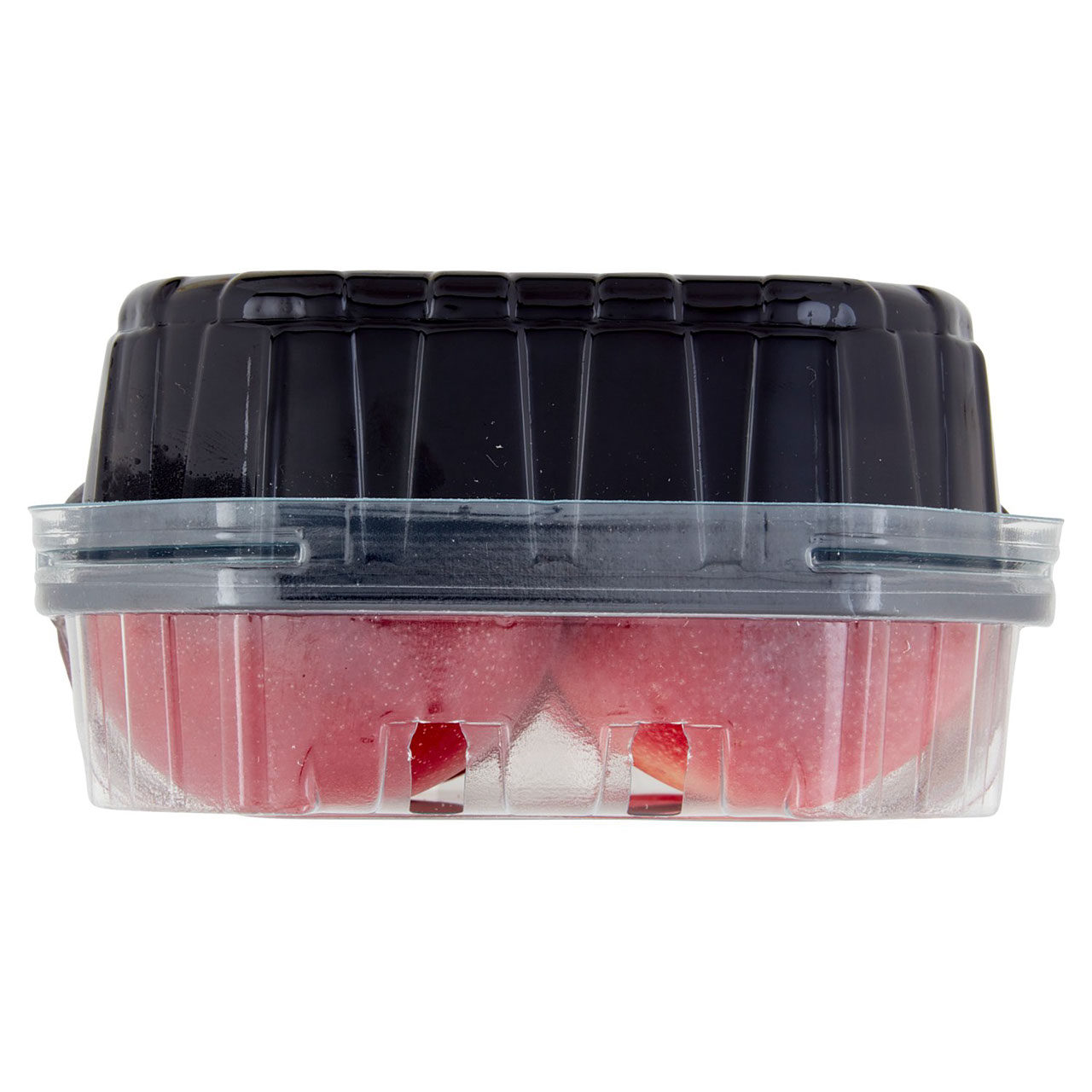 Susine Metis Sunset Sky Conad in vendita online