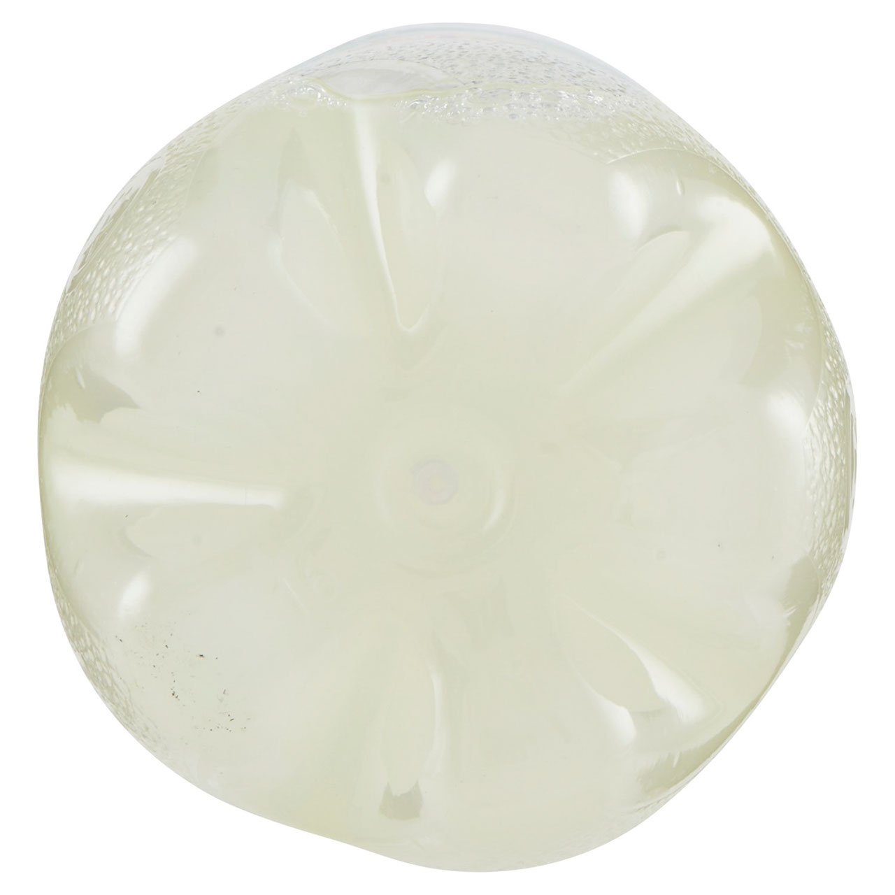 Schweppes Limone 1l in vendita online