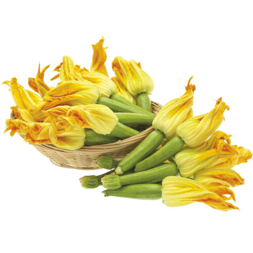 Zucchine Chiare con Fiore Origine Italia Cat. I